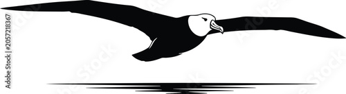 Canvastavla Silhouette of an albatross flying over the ocean surface