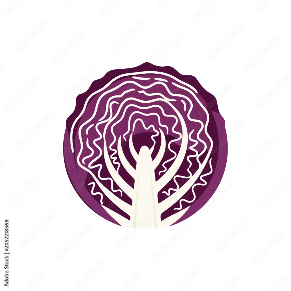 Obraz premium Fresh Purple Red Cabbage Cross Section Illustration for Healthy Food Design