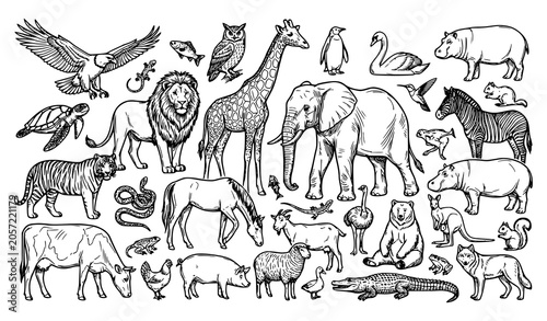 Photography Detailed Hand Drawn Wild Animal Collection Featuring African Safari Species