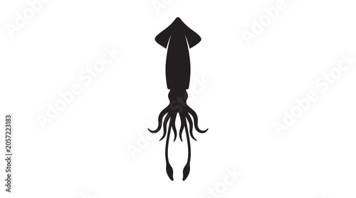 Fotografie Squid Silhouette Against A White Background Minimalist Black Shape