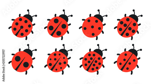Fotografía Seven red ladybugs with black spots.