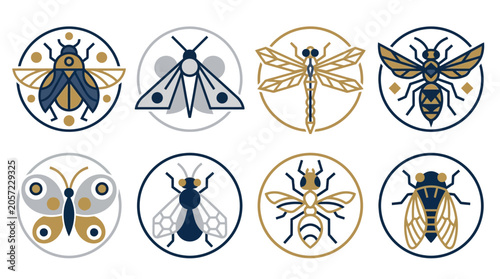 Foto Insects in circles with designs.