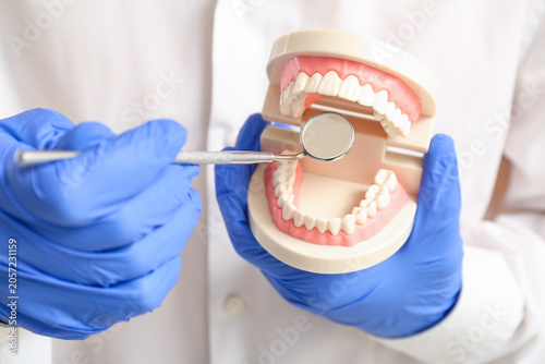 Male dentist with plastic j...