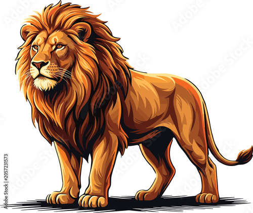 Photography Majestic male lion vector illustration, wild African predator animal, standing b