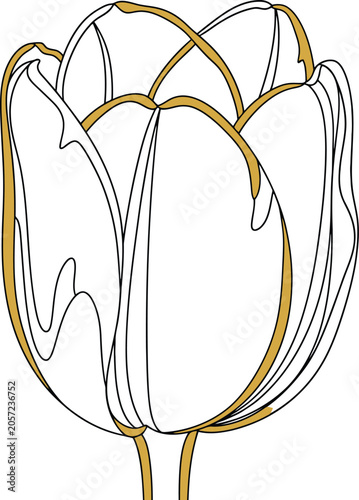 Elegant Golden Tulip Minimalist Line Art Flower Botanical Illustration Vector Design