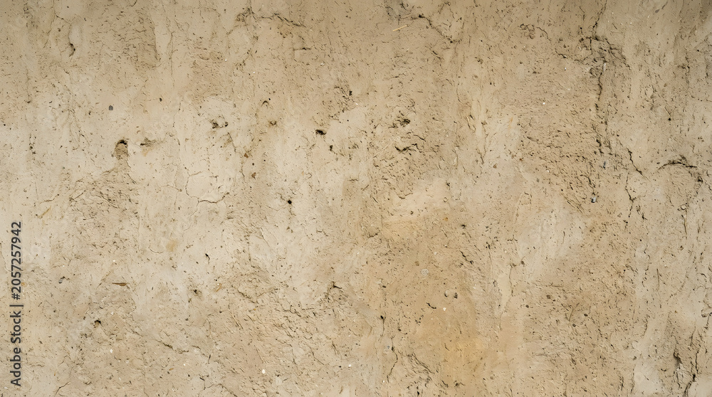 Fototapeta premium Textured Beige Wall: A close-up view of a beige wall with a subtle, natural texture, showing delicate cracks and variations in tone, creating an organic and minimalist aesthetic.