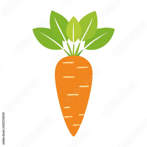 Flat design carrot with green leaf isolated