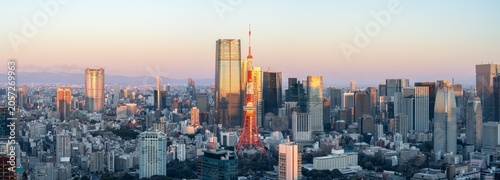 Tokyo skyline panorama at sunrise, Tokyo, Japan