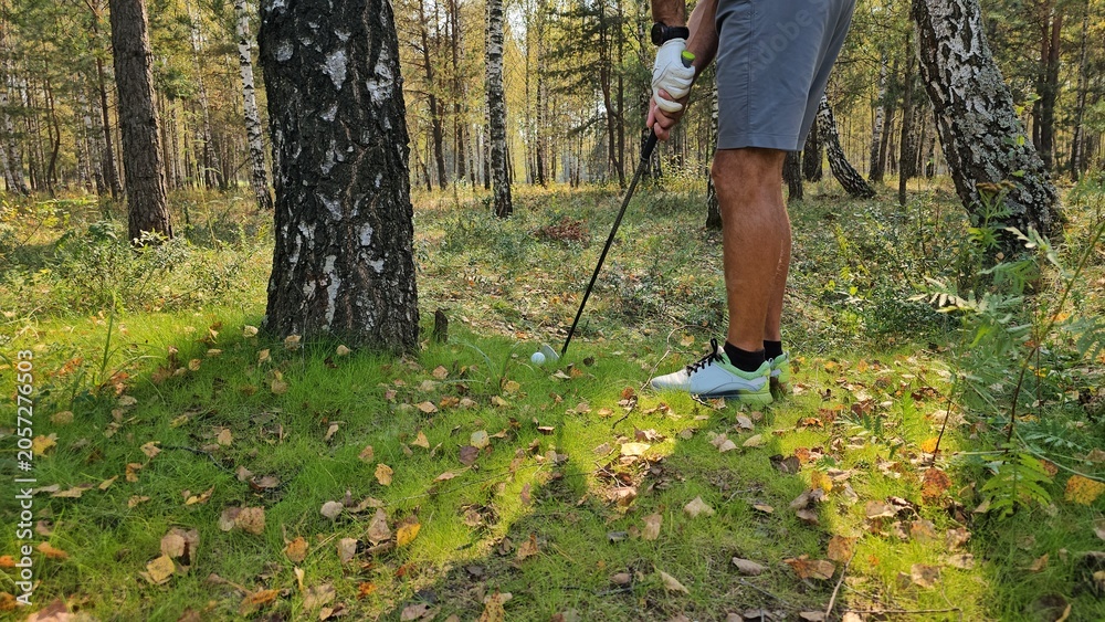 Naklejka premium Golfer prepares to take a shot on the golf course surrounded by trees and foliage during the day