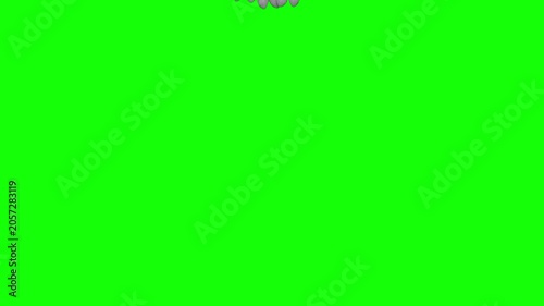 Eagle Flight Animation  Top View Green Screen 4K