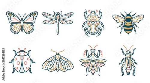 Foto Insects Butterflies Moths Beetles Bees.