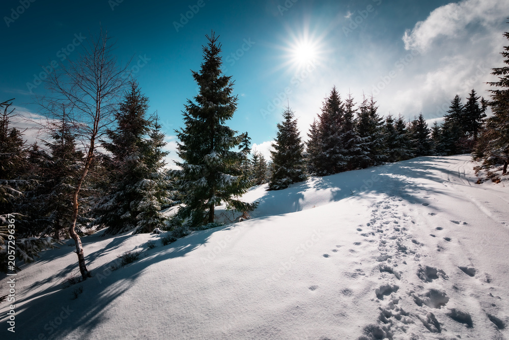 Fototapeta premium Bright sunny winter day on mountain ridge with snow and blue sky