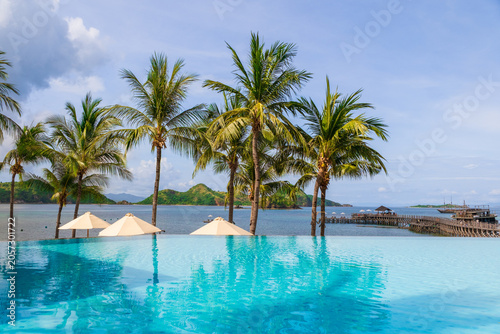 Fotografía Luxury tropical resort swimming pool with palm trees and ocean view