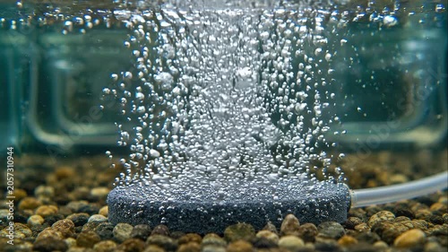 Aquaponics farming airstone releasing bubbles over gravel in aquarium creating oxygenation and lively oxygenated water with serene bubbling atmosphere