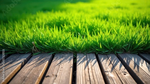 Lush Green Grass Bordering a Rustic Wooden Walkway, a Serene Natural Scene Capturing the Tranquility of Nature's Beauty