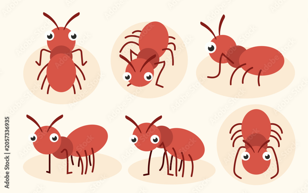 Obraz premium Cute Cartoon Red Ant Character Set with Various Poses Illustration