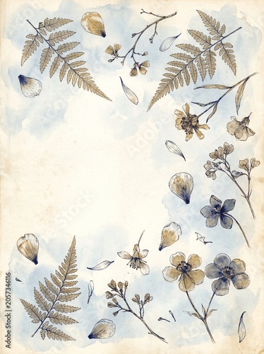 Vintage pressed flower and fern planner template, ink botanical frame on watercolor blue stain background, rustic herbarium stationery sheet, aesthetic printable diary page with blank copy space