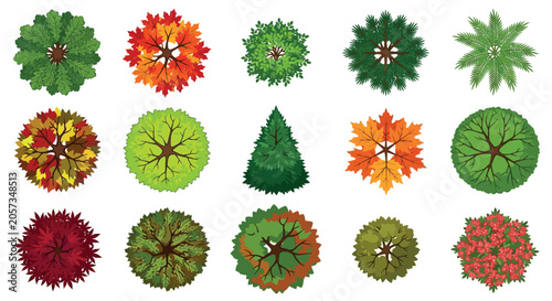 Fotografía Tree Top Views Colorful Vector Illustration On White Background