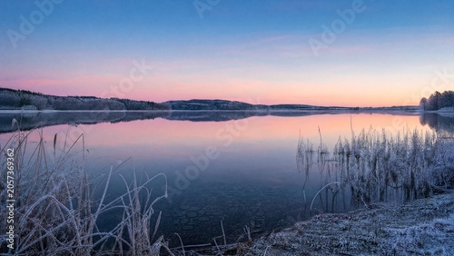 Frozen lake at dawn reflecting clear sky, frost on reeds, windless winter day.