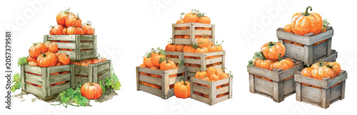 Photos Pumpkins filling and overflowing from stacks of wooden crates, hand painted in a