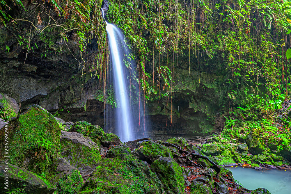 Obraz premium Morne Trois Pitons National Park, Emerald Pool