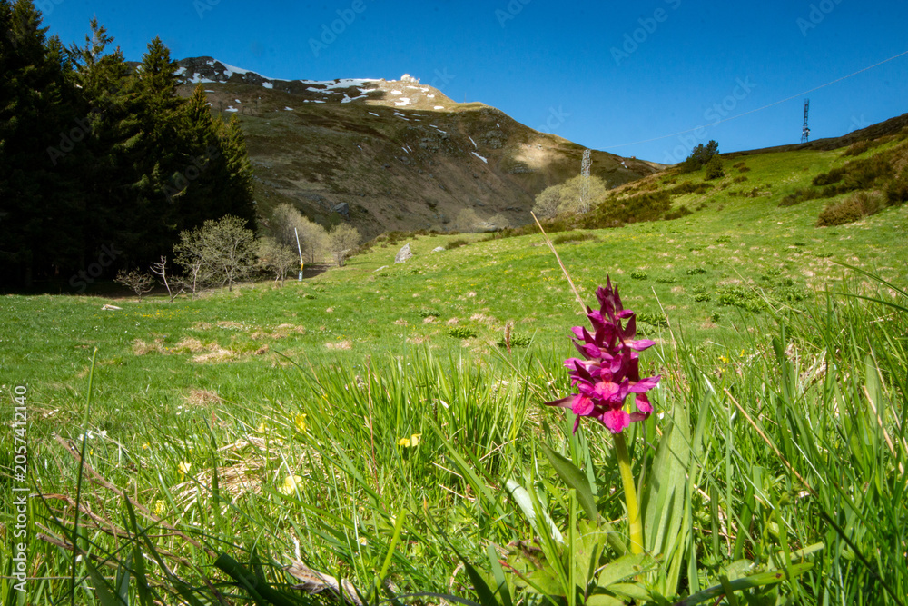 Obraz premium frignano regional natural Park Modena Apennines Monte Cimone and nature reserve