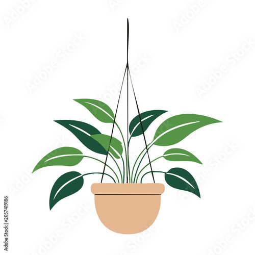 Snake plant in orange pot isolated