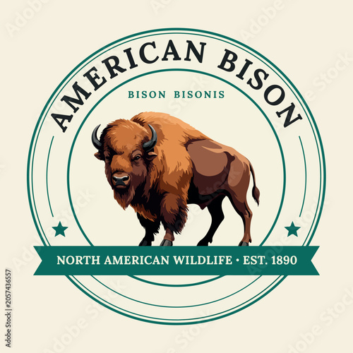 American bison vector