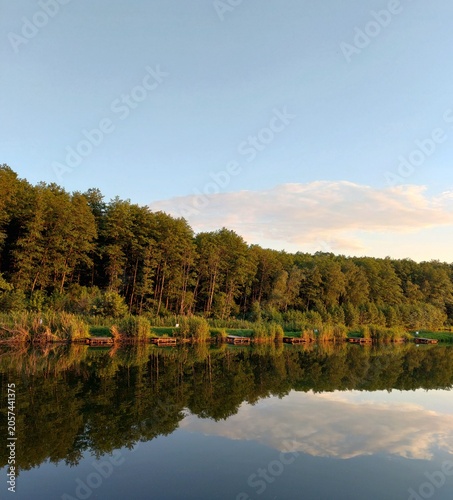 Bild auf Leinwand A stunning summer landscape showcasing a dense green forest and wooden fishing piers perfectly reflected in the mirror-like surface of a calm river