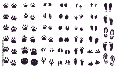Big set of animal and human footprints silhouettes on white background
