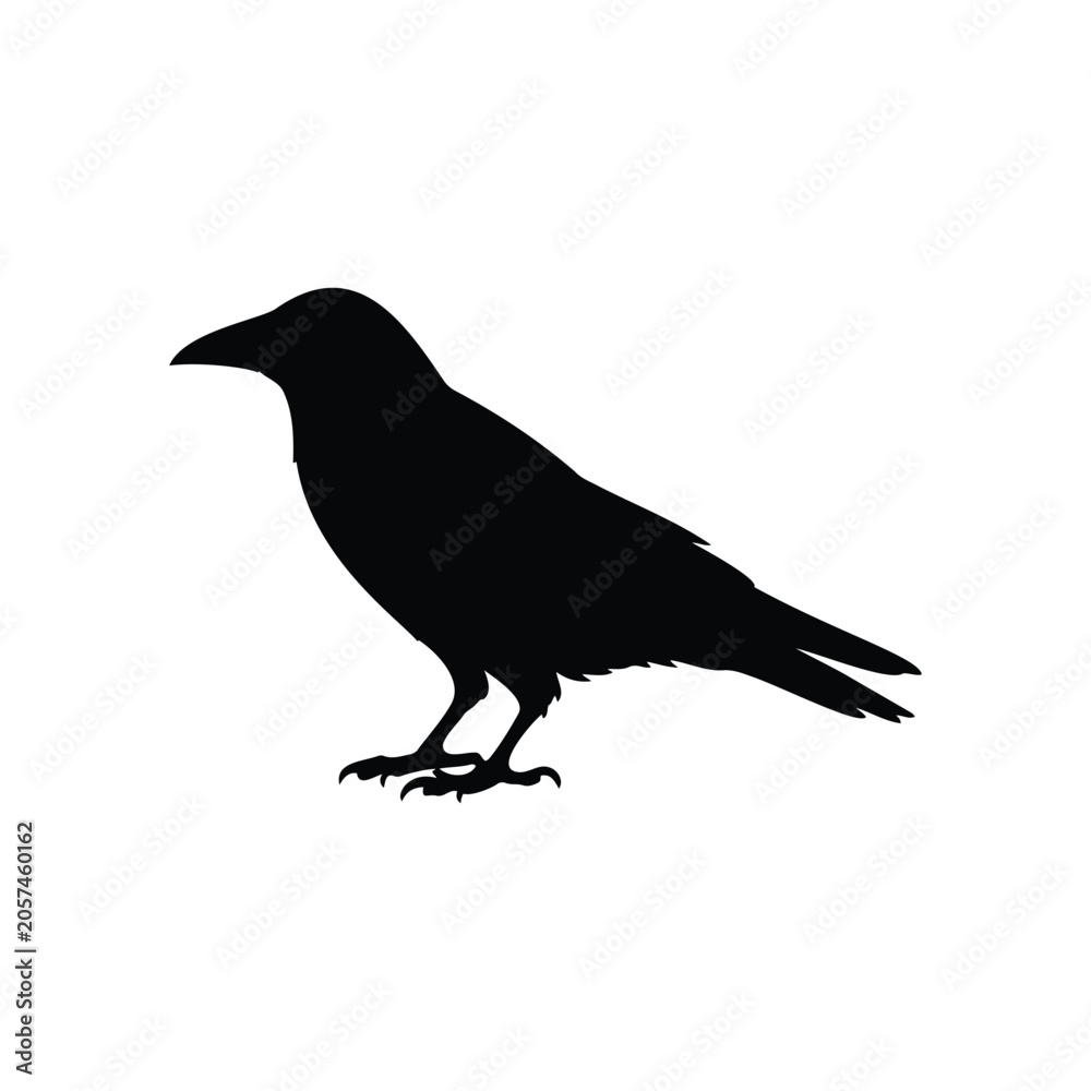 Obraz premium Simple crow silhouette vector flat illustration design.