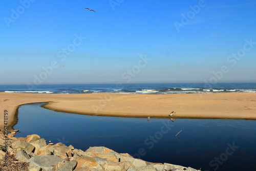 Foto A beach with a body of water and a bird flying in the sky