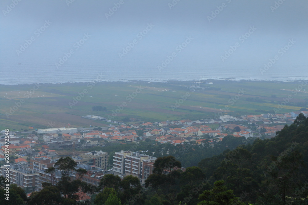 Fototapeta premium A city with trees and buildings