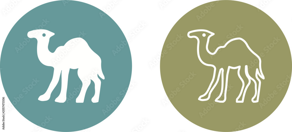 Fototapeta premium Camel Vector Icon
