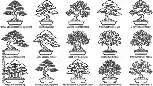 Bild auf Leinwand Black and white line of various tree species and coniferous plants line trees co