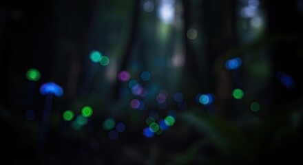 Magical glowing bokeh lights illuminating a mysterious dark enchanted forest at night.