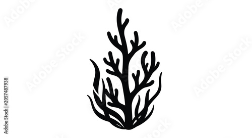 Obraz na plátně Coral branch silhouette against a white background silhouette