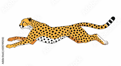 A cartoon cheetah with orange fur and black spots sprints across a white background