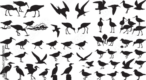 Photography Diverse Shorebird and Seabird Silhouettes Collection, Vector Art Set of Wading B