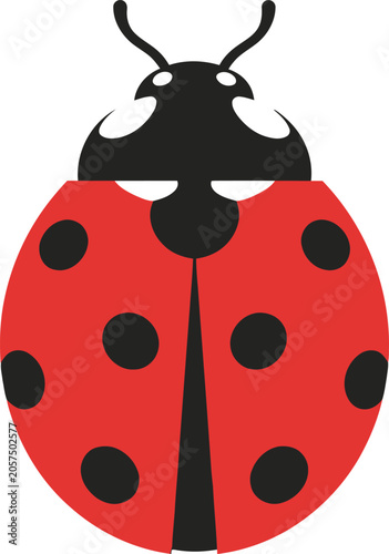 Ladybug Insect Red Black Spots.