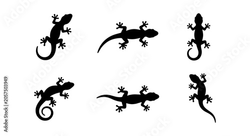 Vászonkép Six Black Gecko Silhouettes, Reptile Vector Icons, Animal Graphic Elements, Wild