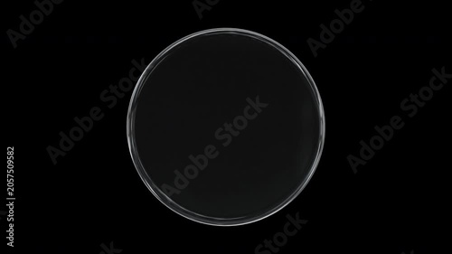 Glass 3d disc, circle, round shape rotating on black looping animation