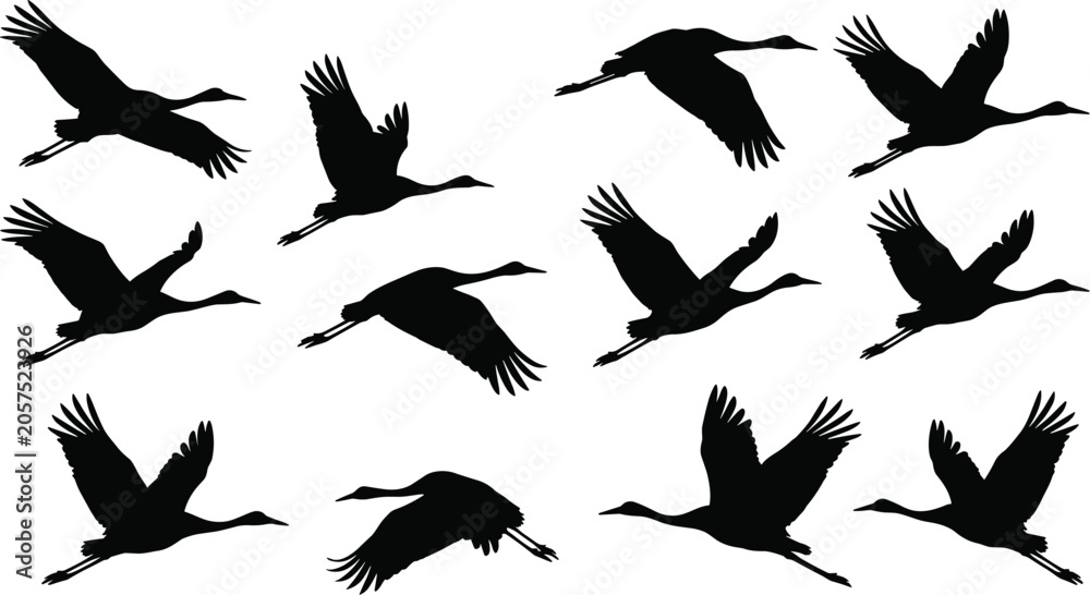Fototapeta premium Flying crane bird silhouette vector set featuring wild stork, heron, or egret flock in migration flight poses isolated on white background.