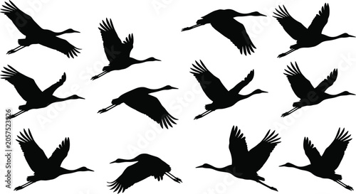 Foto Flying crane bird silhouette vector set featuring wild stork, heron, or egret flock in migration flight poses isolated on white background