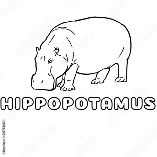 vector image of a hippo