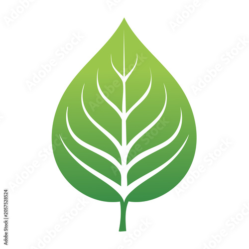 Green Leaf Vector Graphic