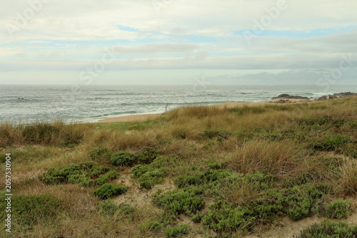 Obraz na plátne A grassy area with a body of water in the distance