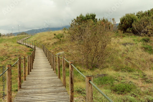 A wooden staircase leading up to a hill with trees and grass on the side