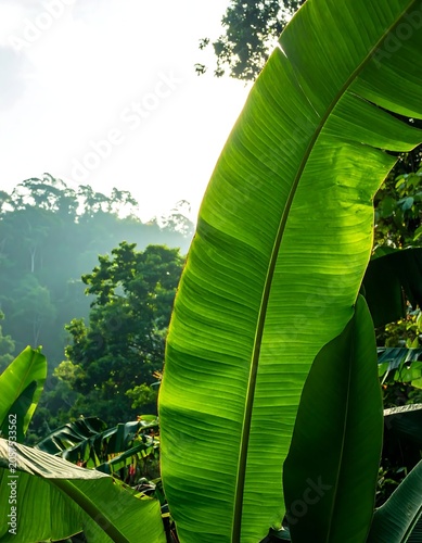 Tropical banana leaf with waterfall backdrop.