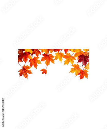 autumn leaves border